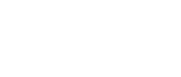 La Societe des Apaches